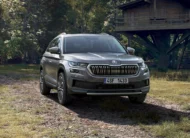 SKODA KODIAQ 1.4 L TSI DSG AMBITION 5 PLACES