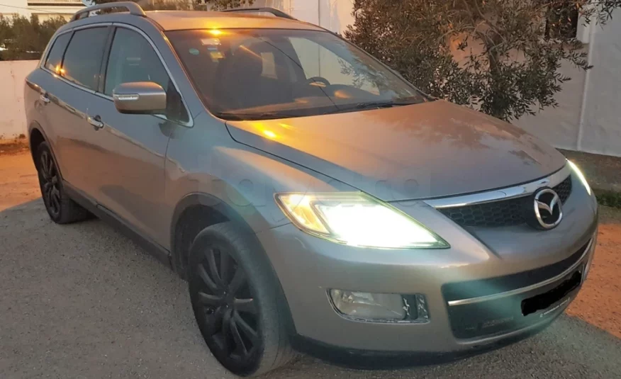 2010  Mazda  CX-9