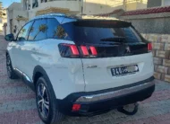 2019  Peugeot  3008