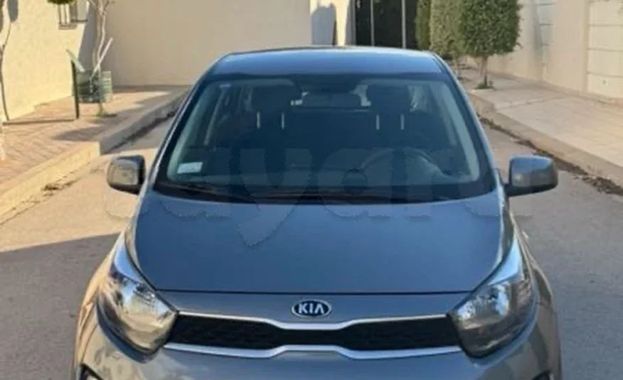 2021  Kia  Picanto