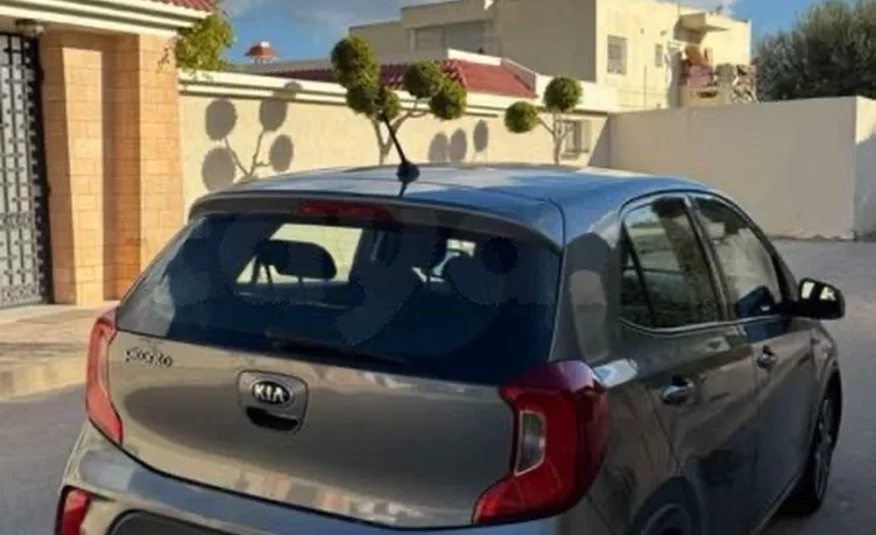 2021  Kia  Picanto