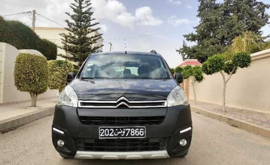 2018  Citroen  Berlingo