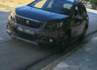 2018  Peugeot  2008