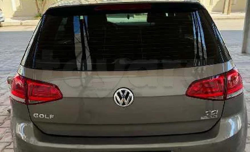 2014  Volkswagen  Golf 8