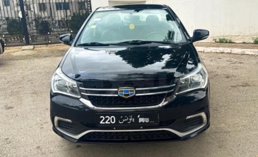 2021  Geely  LC